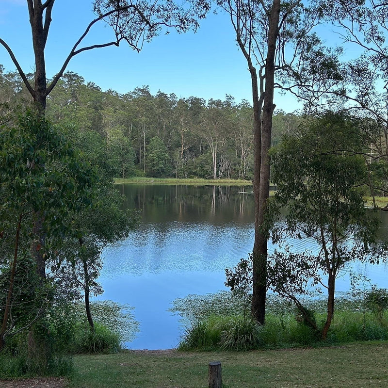 Brisbane clothing designer, Australian womens fashion online