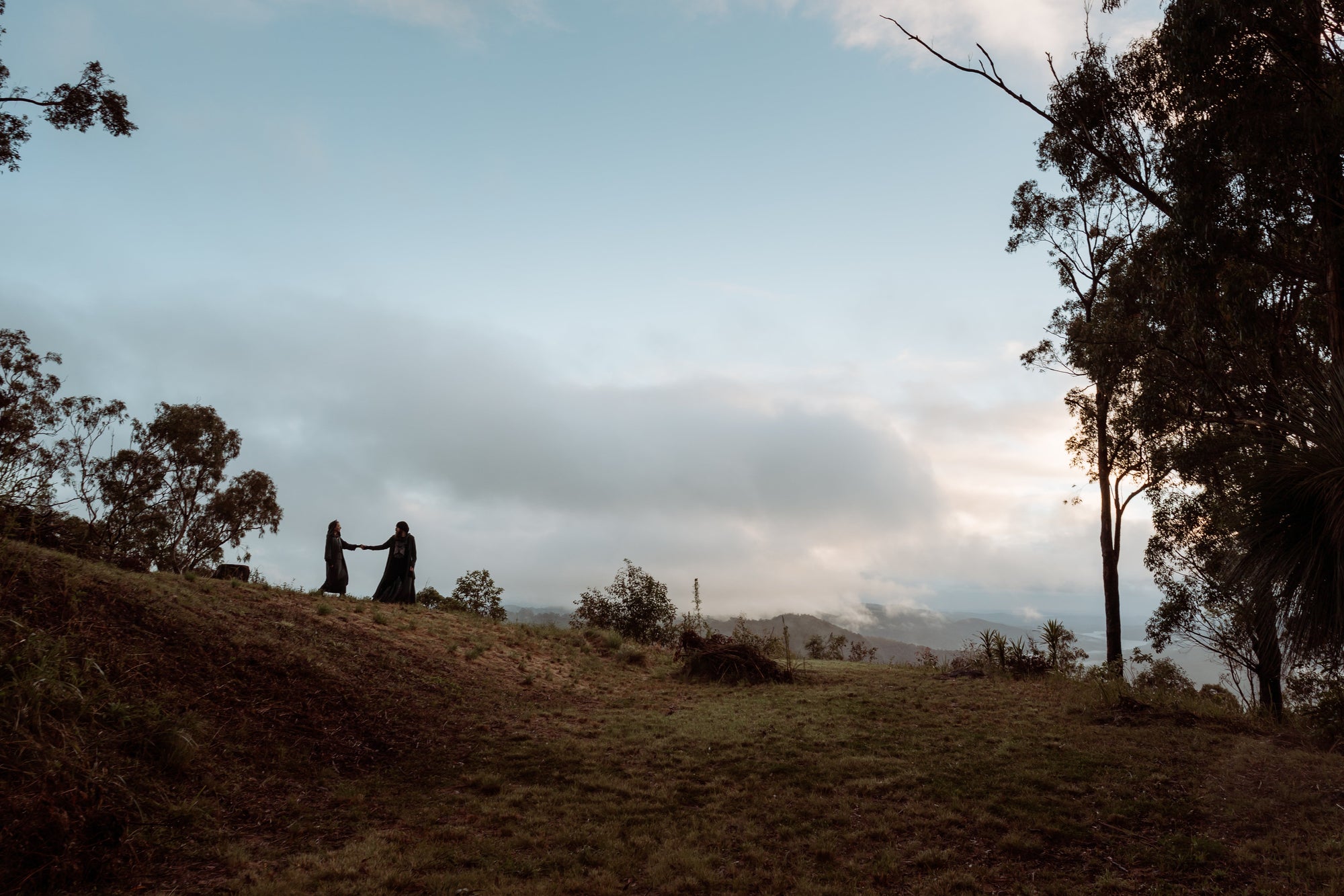 A Sneak View Behind the Curtain