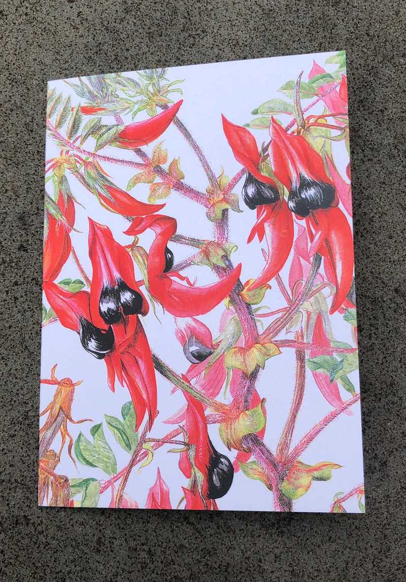 australian made cards, botanical print cards, studio nikulinsky