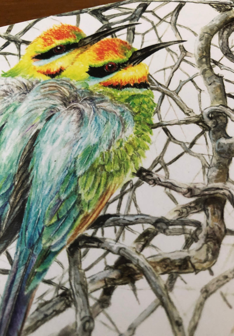 Rainbow Bee-Eaters - Square Card