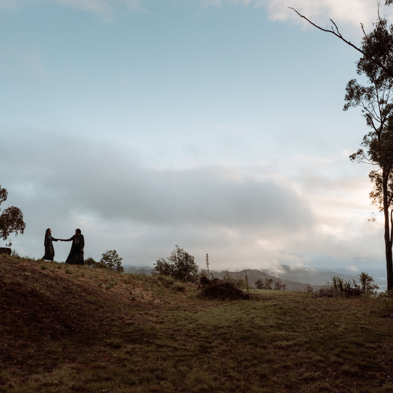 A Sneak View Behind the Curtain