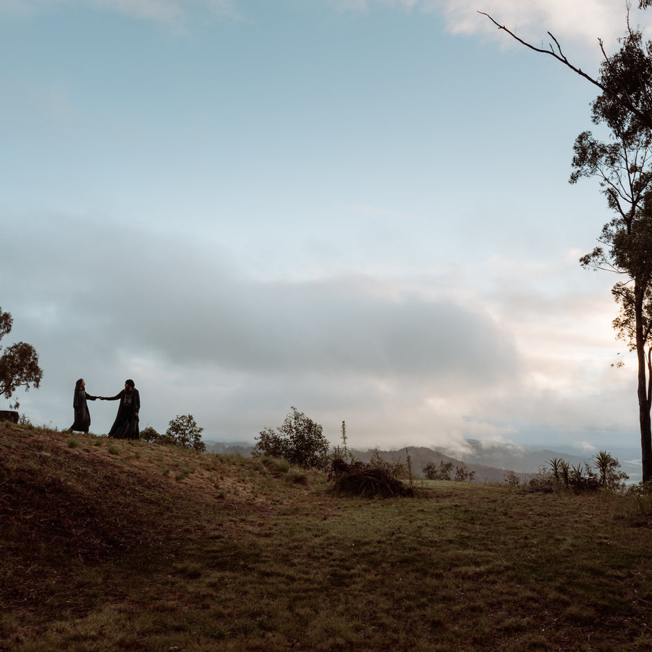 A Sneak View Behind the Curtain