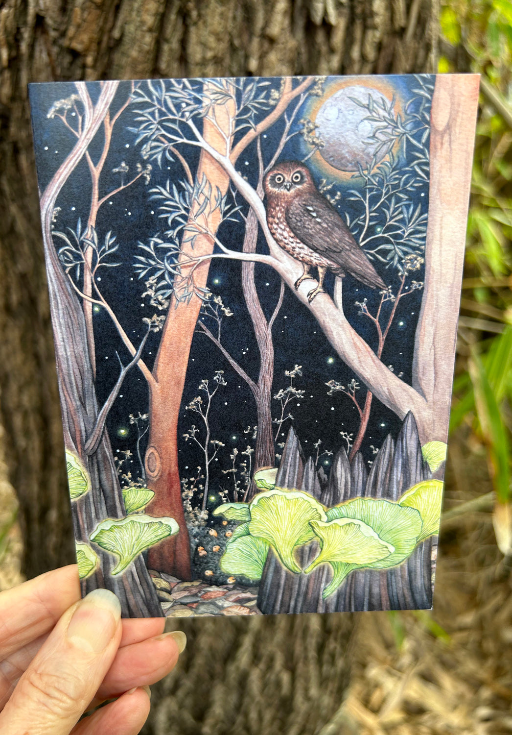 Boobook And Ghost Fungus Greeting Card