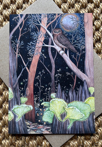 Boobook And Ghost Fungus Greeting Card