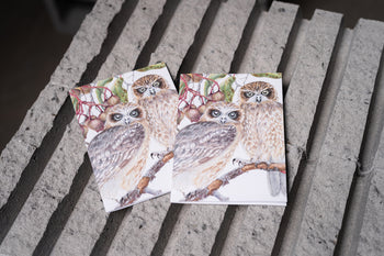 Boobook Owls - White A6 Greeting Card