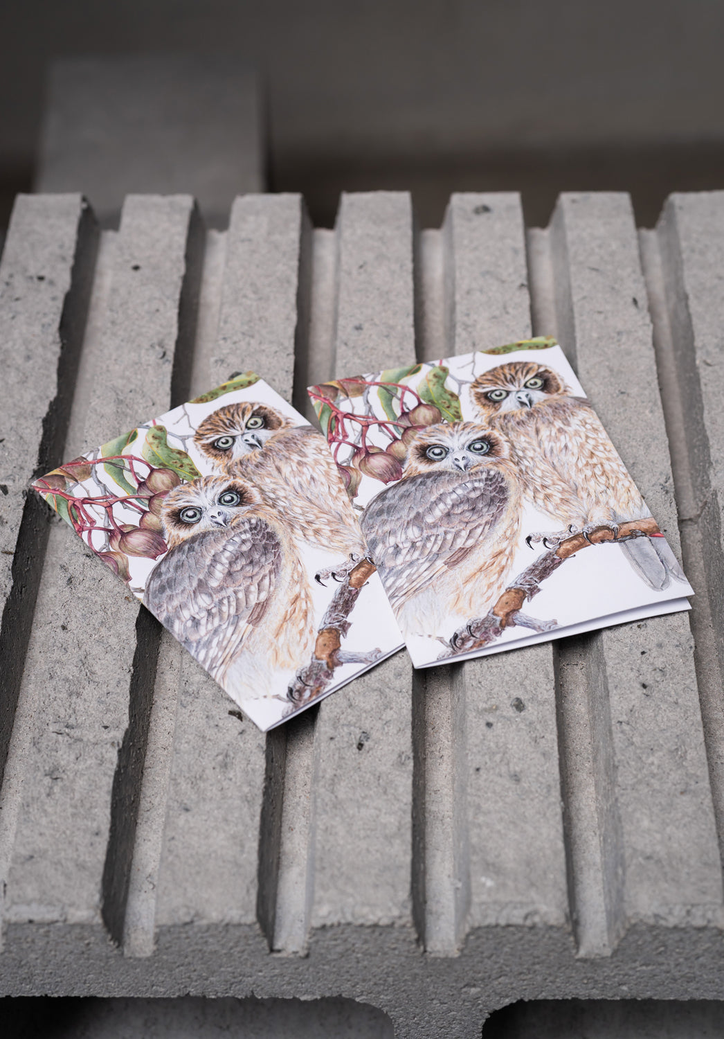 Boobook Owls - White A6 Greeting Card