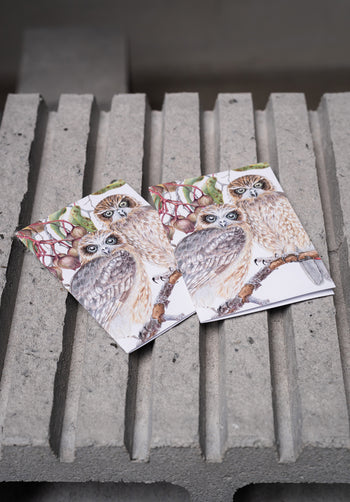 Boobook Owls - White A6 Greeting Card