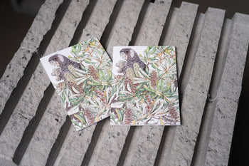 Carnaby's Cockatoo and Banksia - White A6 Greeting Card