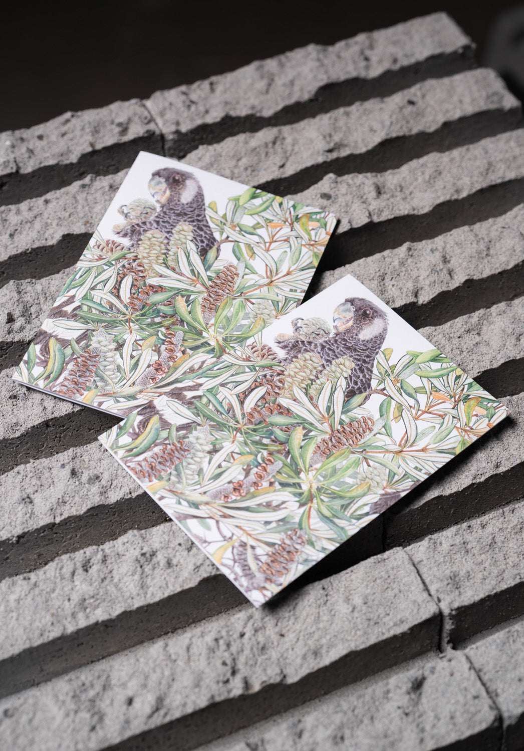 Carnaby's Cockatoo and Banksia - White A6 Greeting Card