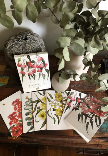 Eucalyptus Collection - Set of 6 Greeting Cards