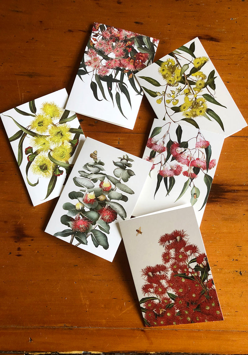 Eucalyptus Collection - Set of 6 Greeting Cards