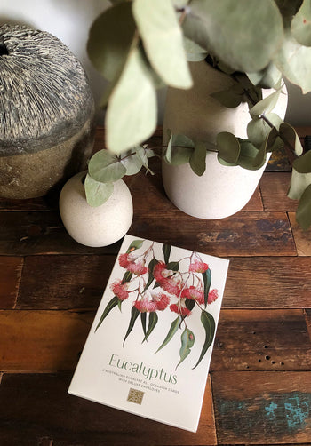 Eucalyptus Collection - Set of 6 Greeting Cards