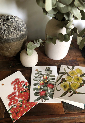 Eucalyptus Collection - Set of 6 Greeting Cards