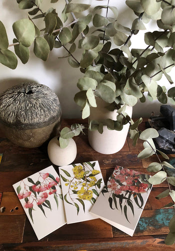 Eucalyptus Collection - Set of 6 Greeting Cards