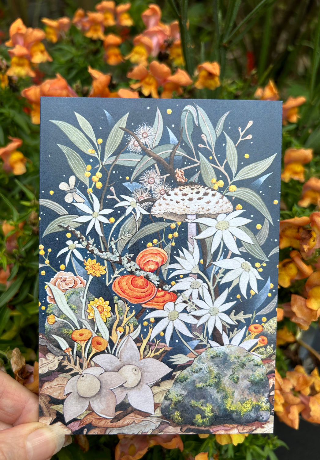 Girraween Treasures Greeting Card