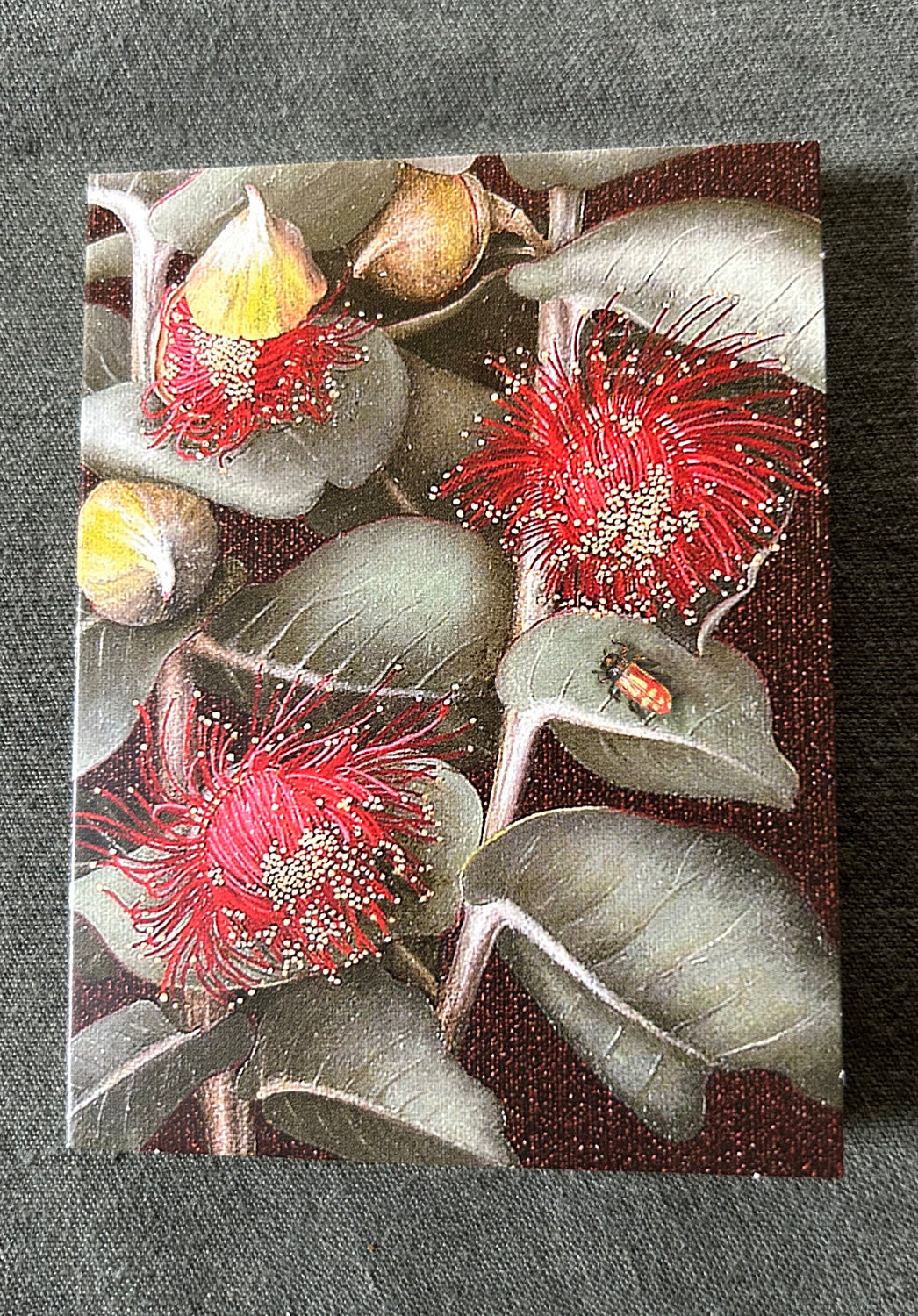 Gum Bugs Florist Card Pack
