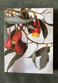 Gum Bugs Florist Card Pack