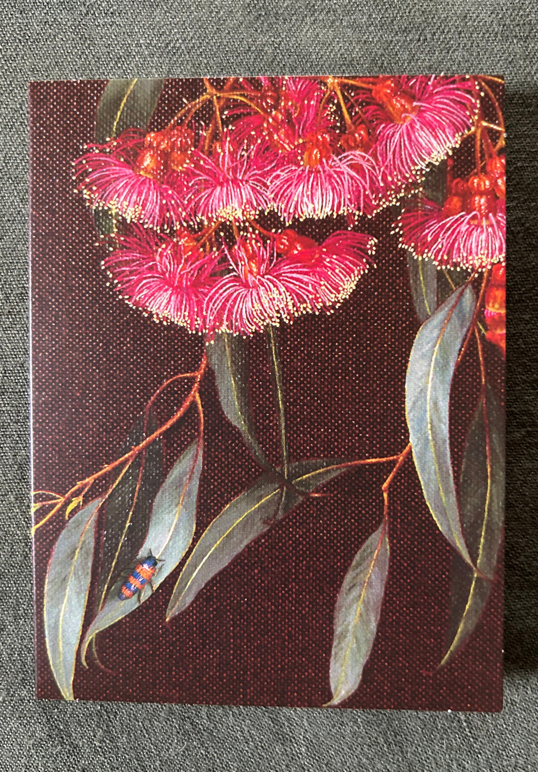 Gum Bugs Florist Card Pack