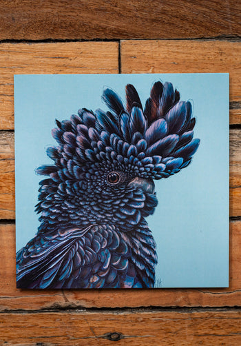 Red-Tailed Black Cockatoo Square Greeting Card