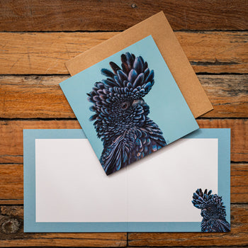 Red-Tailed Black Cockatoo Square Greeting Card