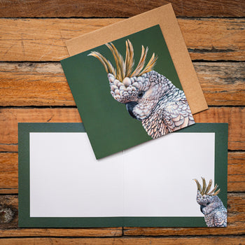 Sulphur Crested Cockatoo Square Greeting Card