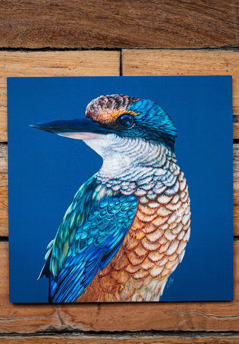 Kingfisher Square Greeting Card