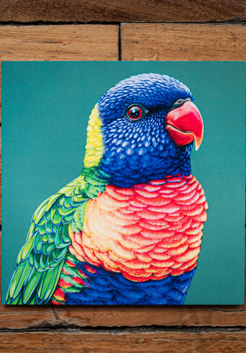 Rainbow Lorikeet Square Greeting Card