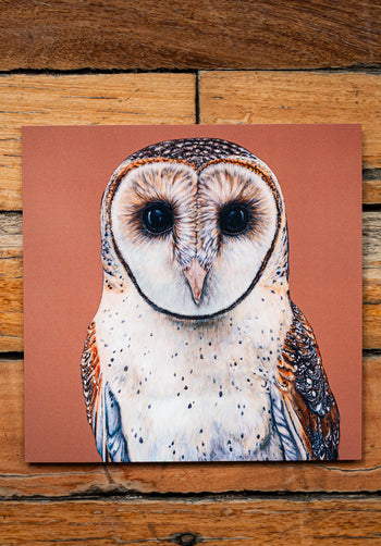 Masked Owl Square Greeting Card