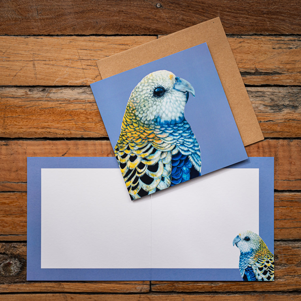 Pale Headed Rosella Square Greeting Card
