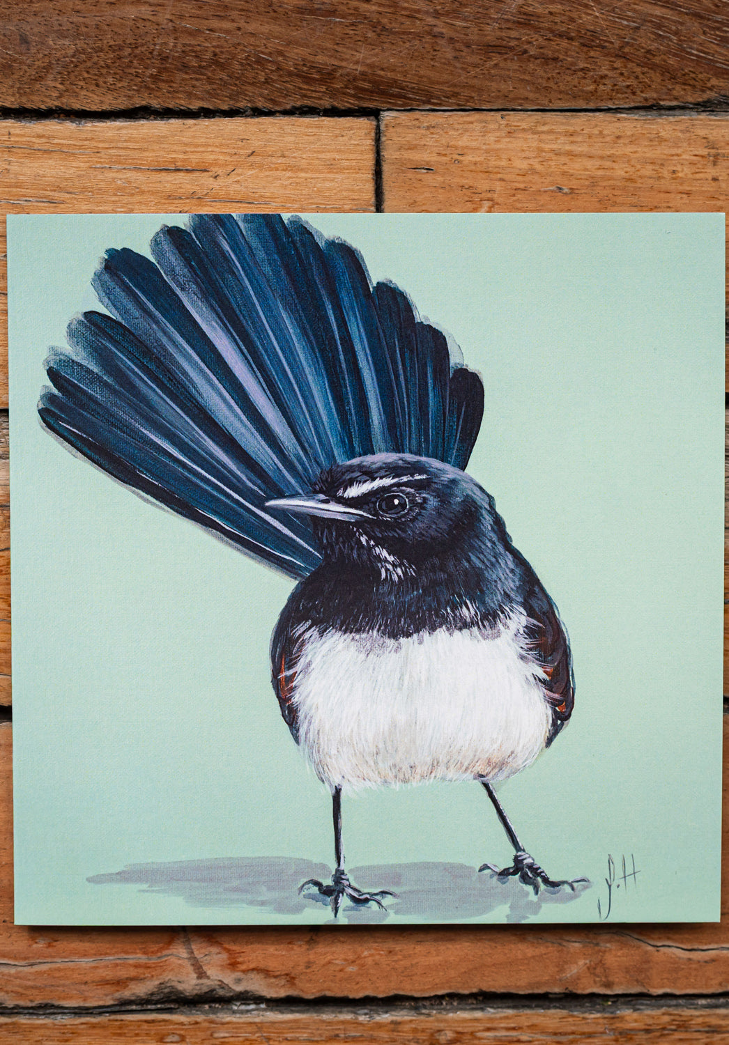 Willie Wagtail Square Greeting Card