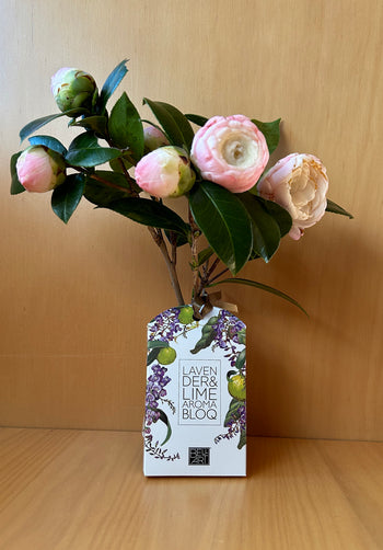 Lavender Lime - Aroma Bloq