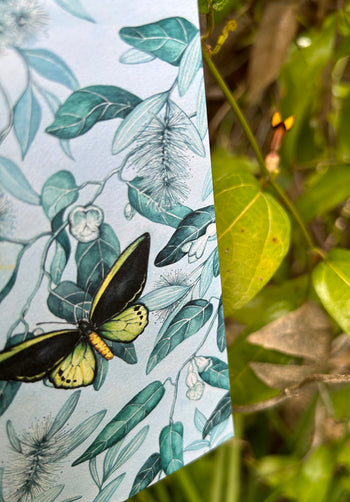 Richmond Birdwing Butterfly Greeting Card