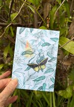 Richmond Birdwing Butterfly Greeting Card