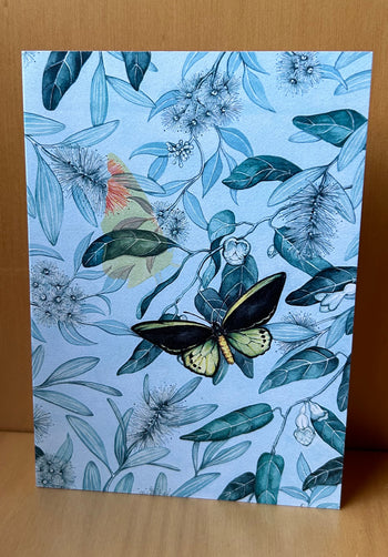Richmond Birdwing Butterfly Greeting Card