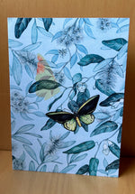 Richmond Birdwing Butterfly Greeting Card