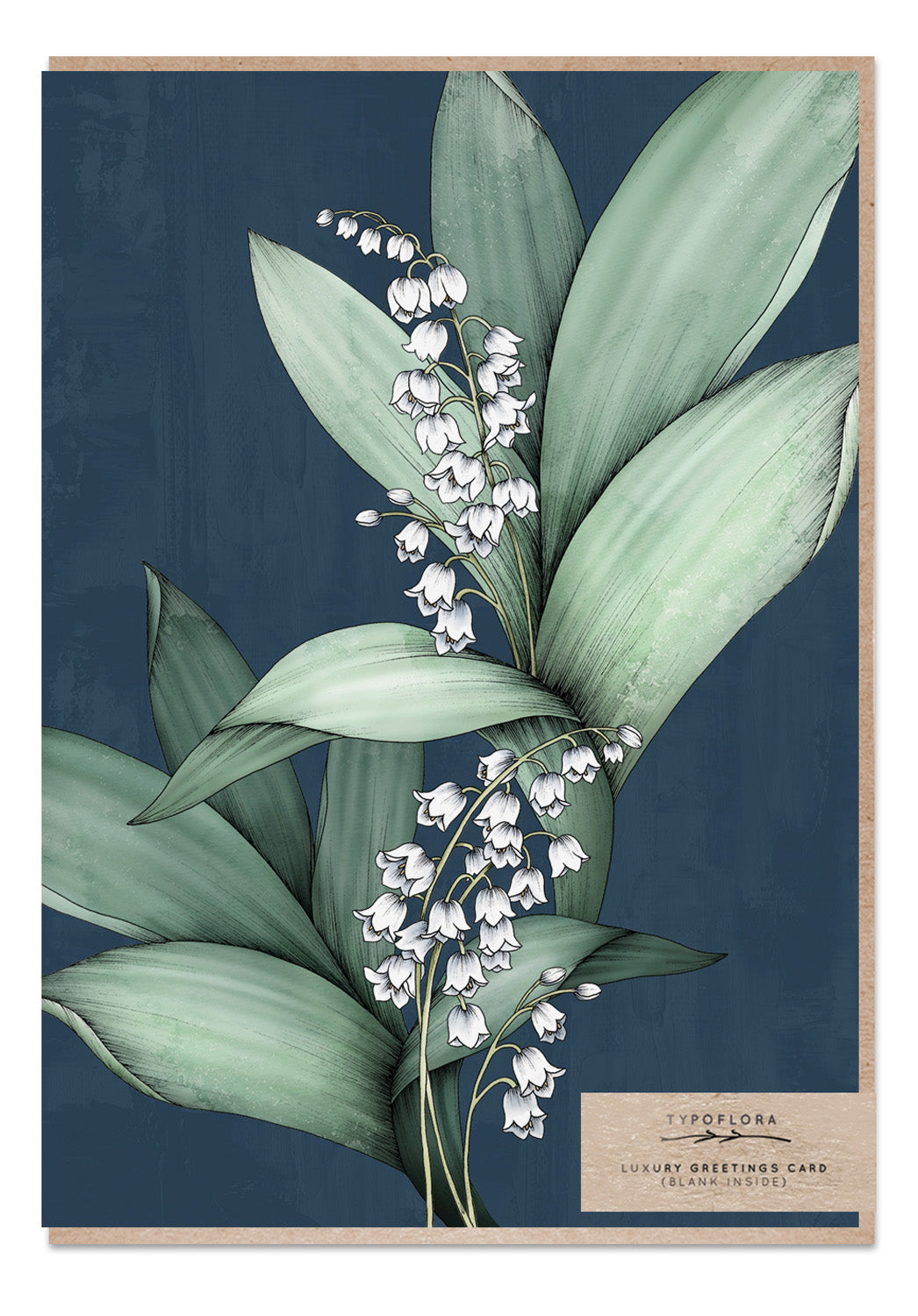 australian made greeting cards, sustainable fashion online, typoflora