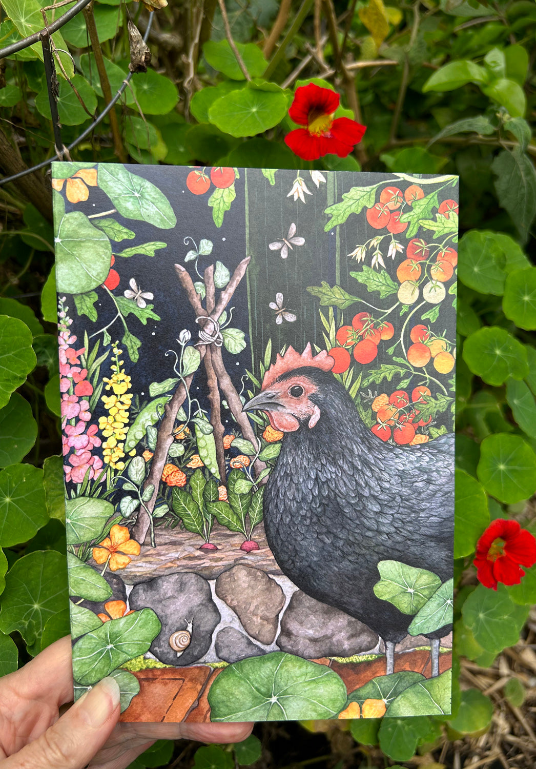 The Forager Notebook - A5 blank