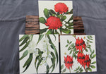 square greeting cards online, Australian made stationery