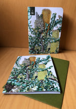 Bull Banksia - Green A6 Greeting Card