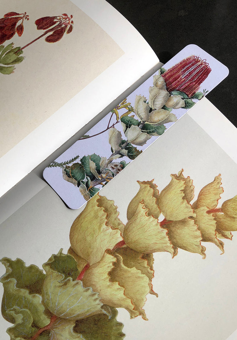 artist bookmark, botanical stationery Australia