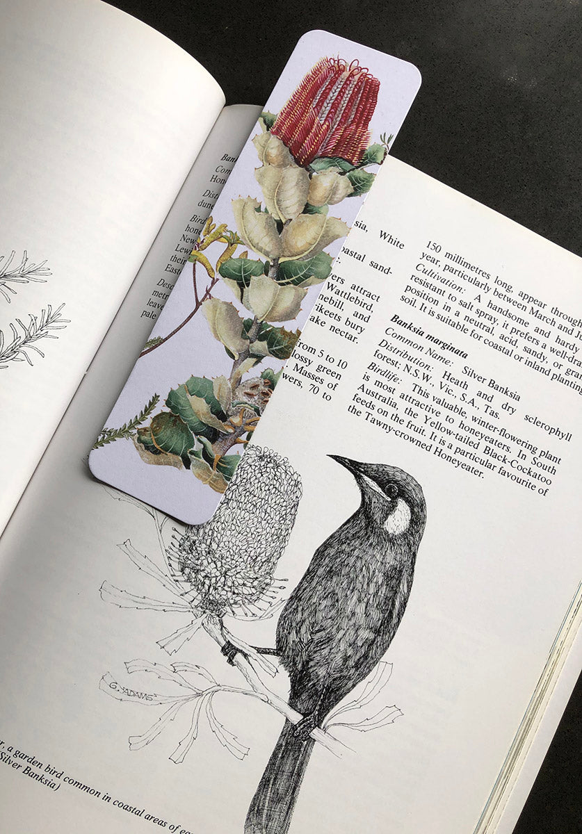 artist illustration, bookmarks for gifts