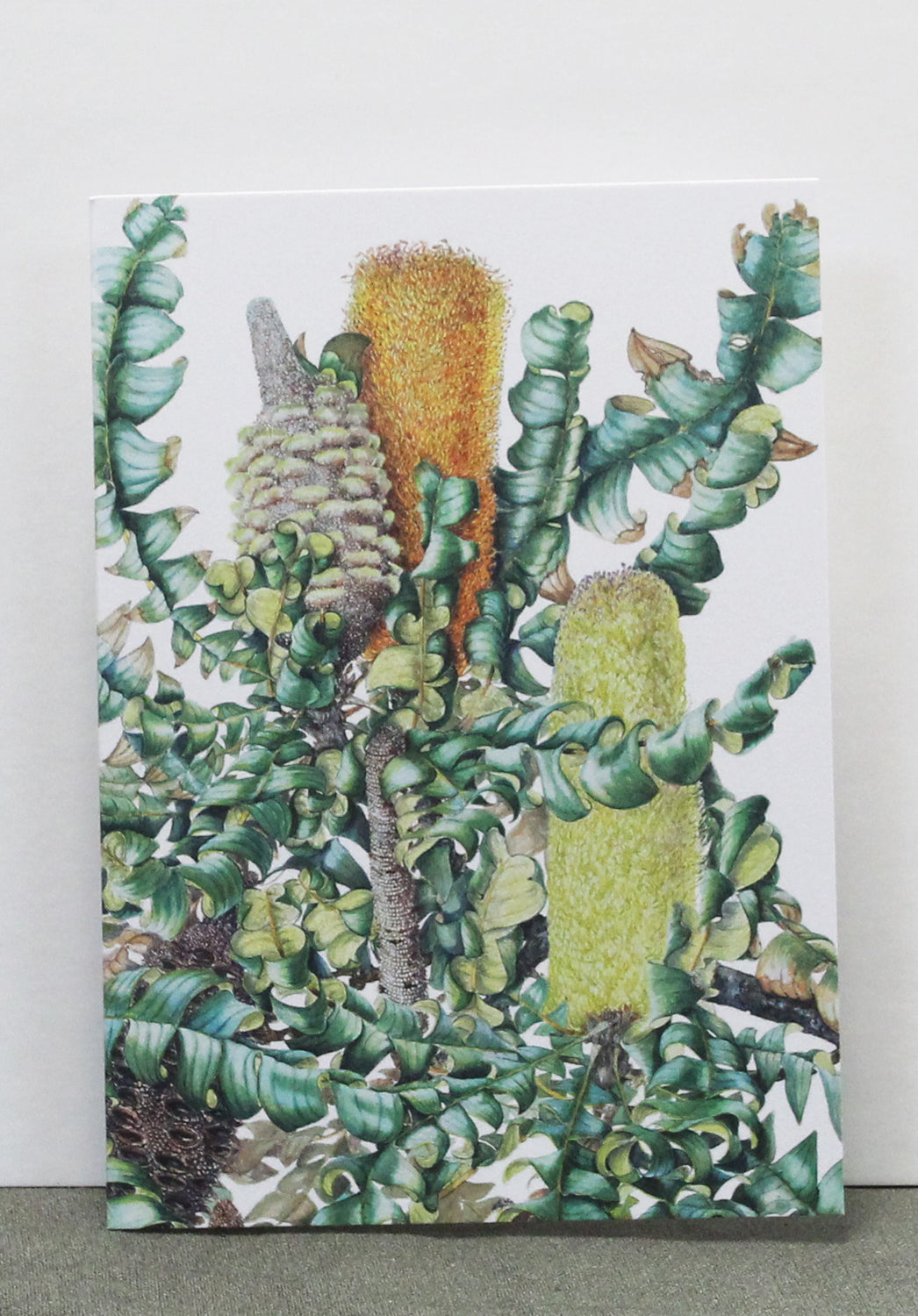 shop greeting cards, shop australian made accessories