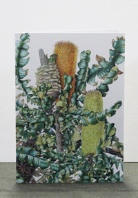studio nikulinsky, shop greeting cards online