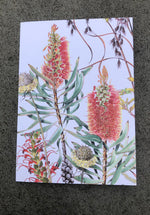 australian made cards, studio nikulinsky 