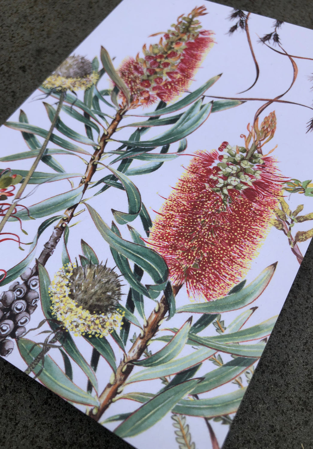 100% australian made cards, studio nikulinsky