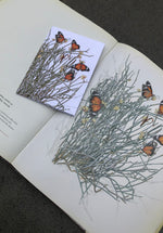 Butterflies - White A6 Greeting Card
