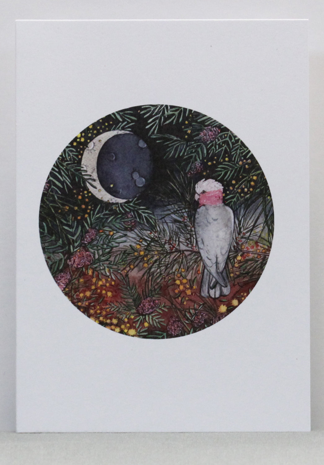 galah card, australian birthday cards