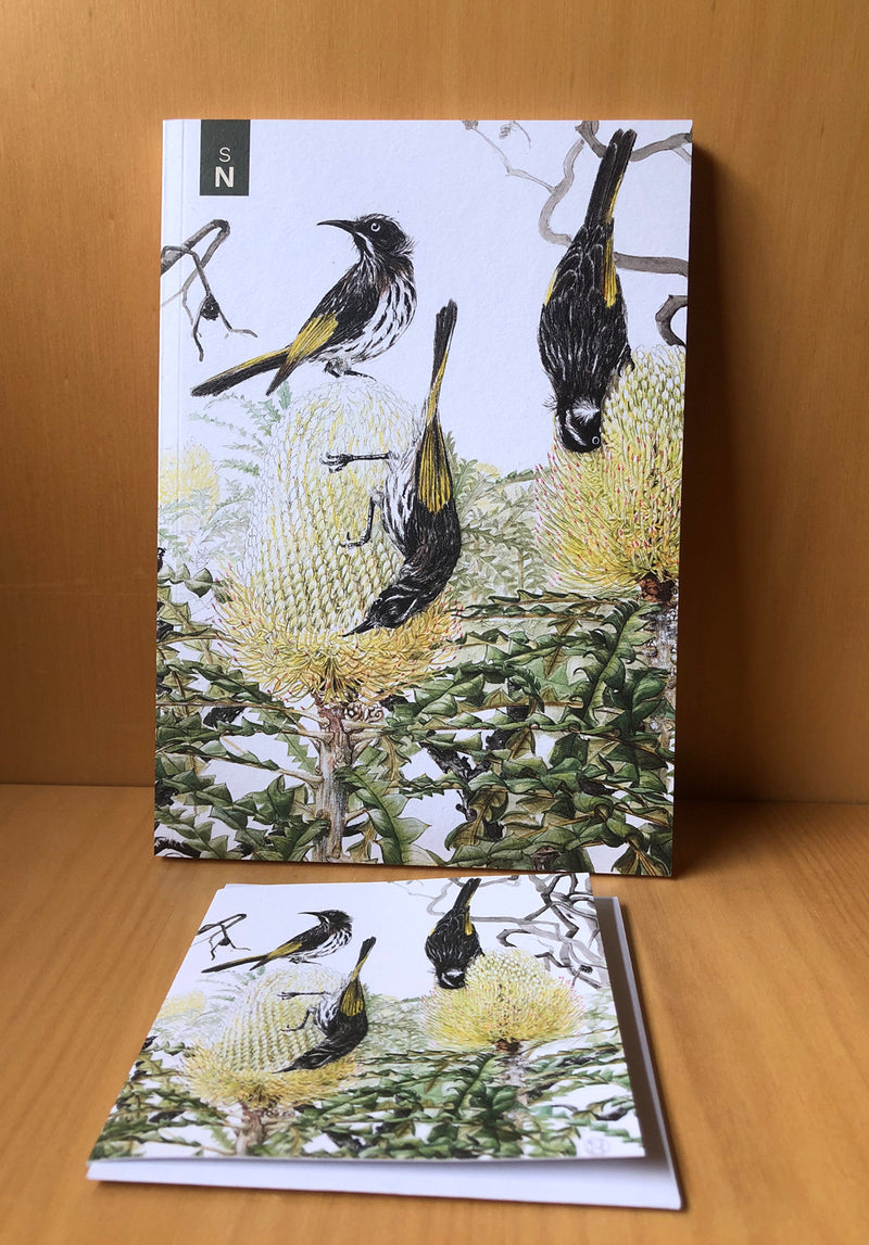 Honeyeaters And Banksia - Square Card