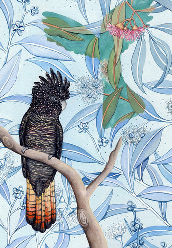 Red Tail Black Cockatoo Greeting Card