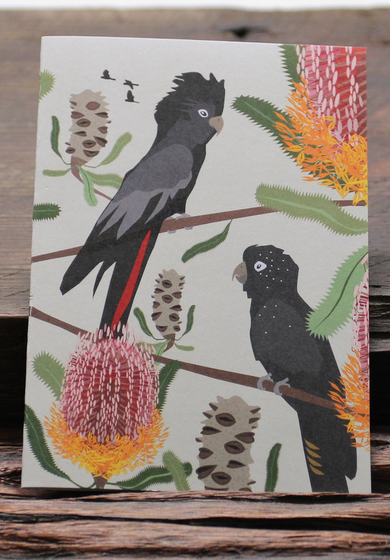 Black Cockatoos Firewood Banksia Card